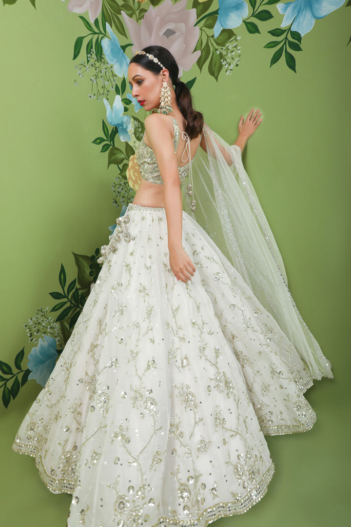 Delicate Diamond Lehenga Set