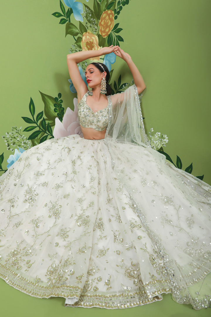 Delicate Diamond Lehenga Set