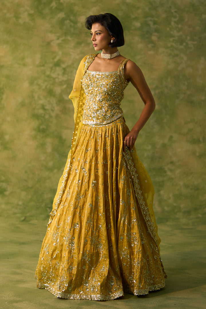 Yellow Tissue Choli Set