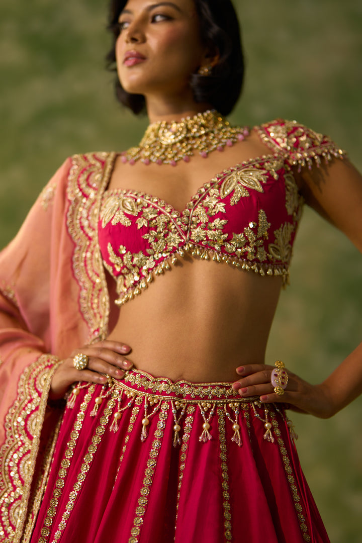 Rani Pink Lehenga Set