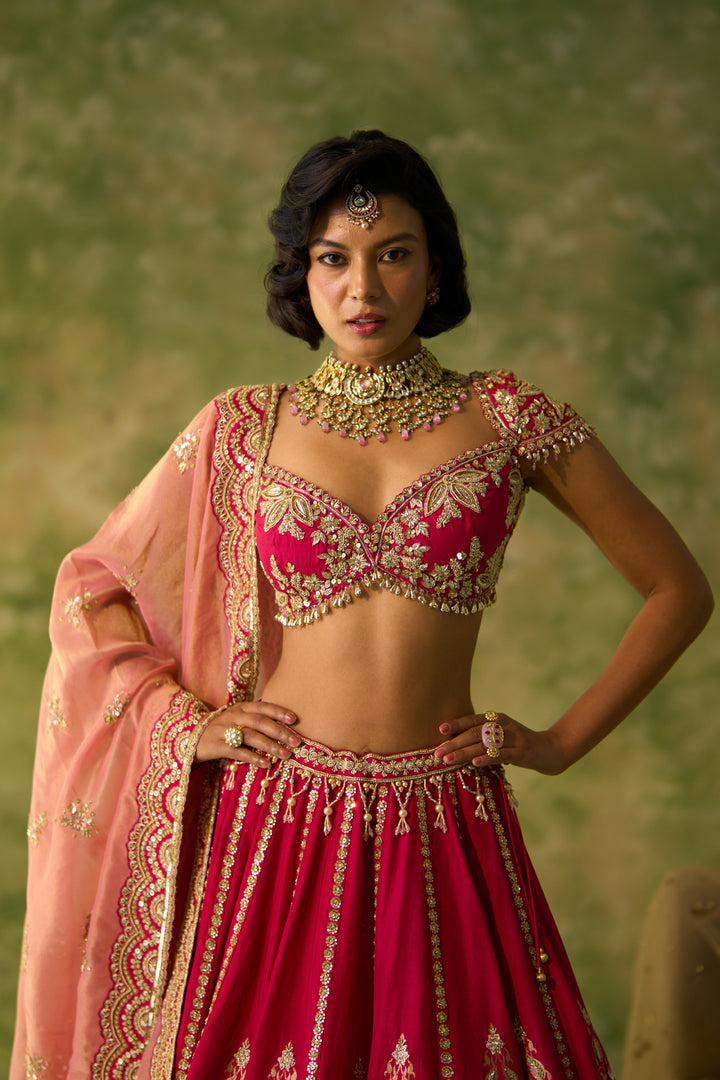 Rani Pink Lehenga Set