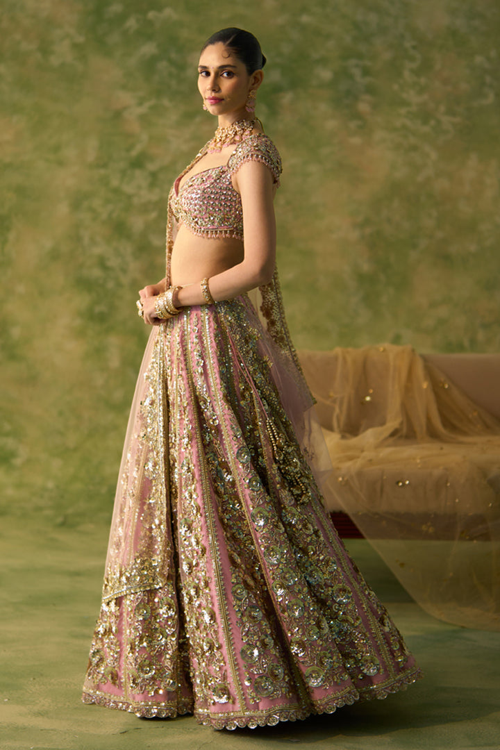 Pink Naira Lehenga Set