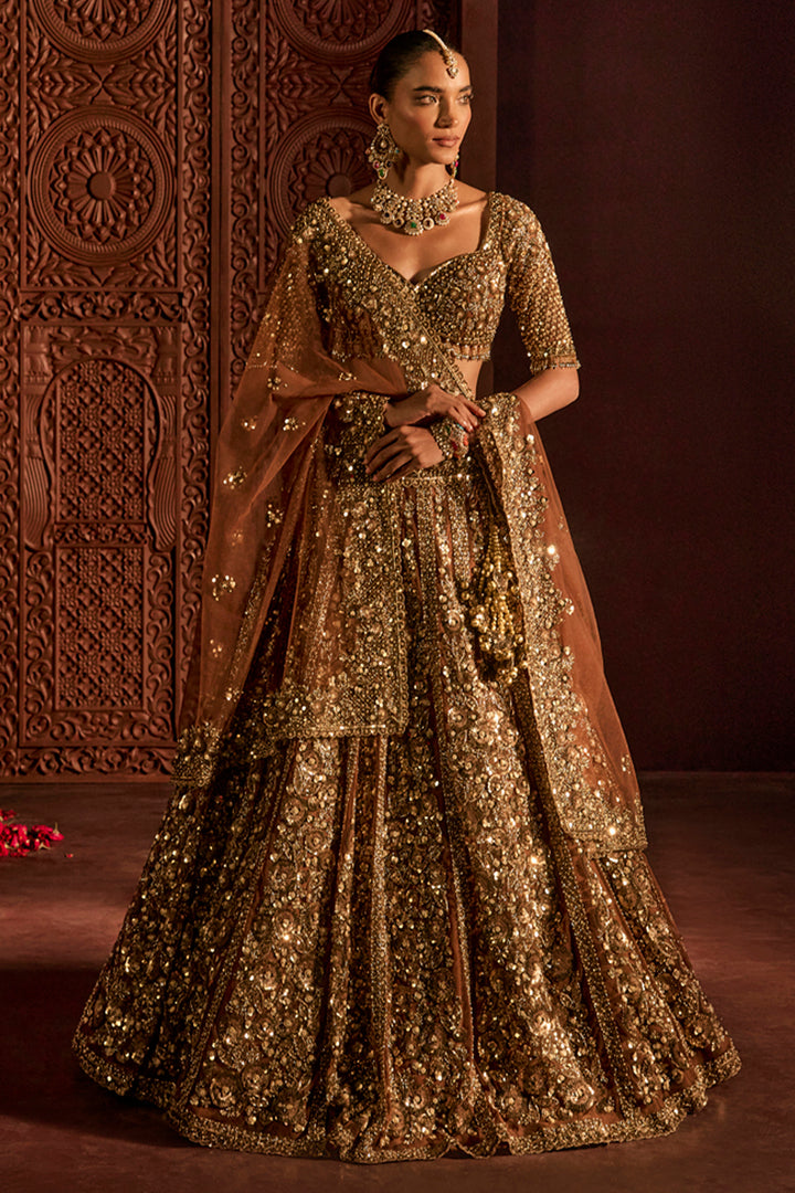 Mocha Naira Lehenga Set